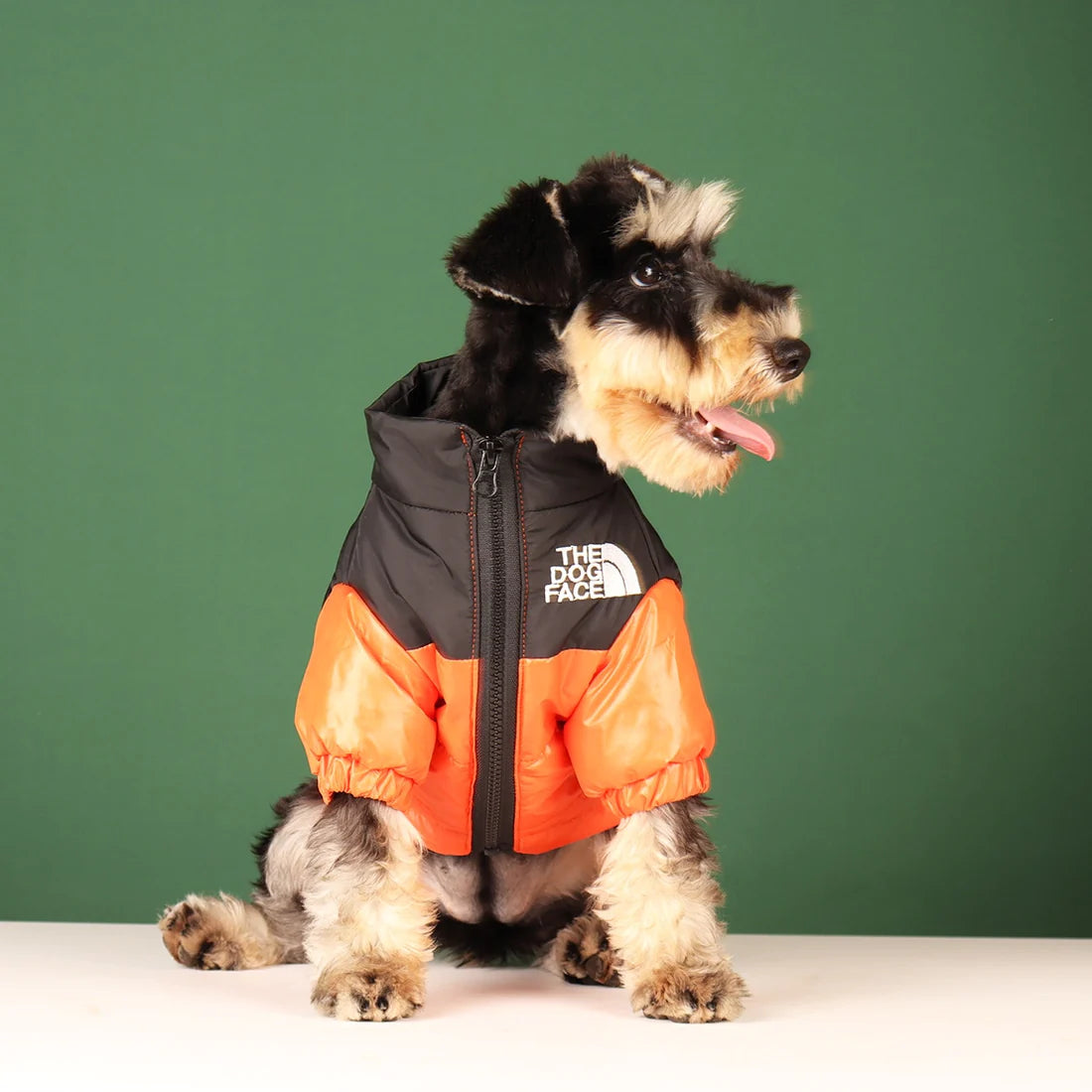 Windproof Dog Jacket The Dog Face